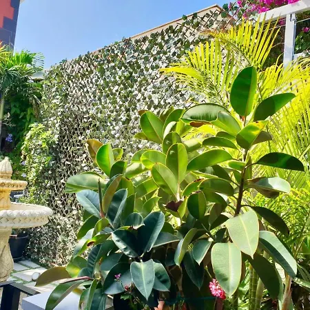 펜션 Casa Roque Aguayro Agüimes