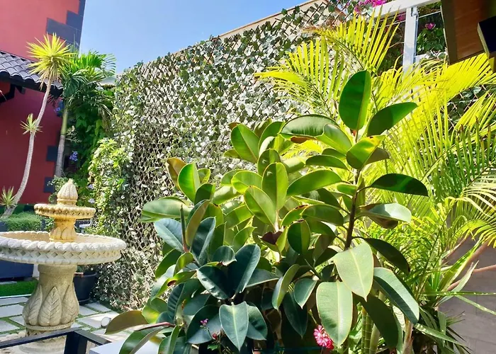 度假居 Casa Roque Aguayro 阿桂姆斯
